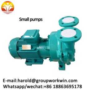 Small pump