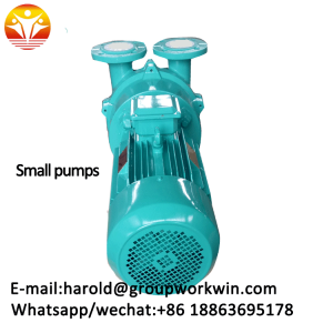 Small pump