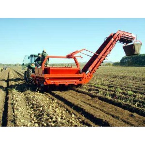 Potato harvester