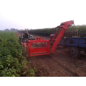 Potato harvester