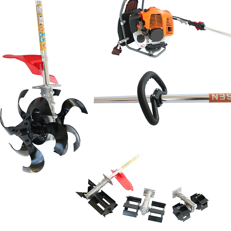 1545618282823423.jpg 5.jpg