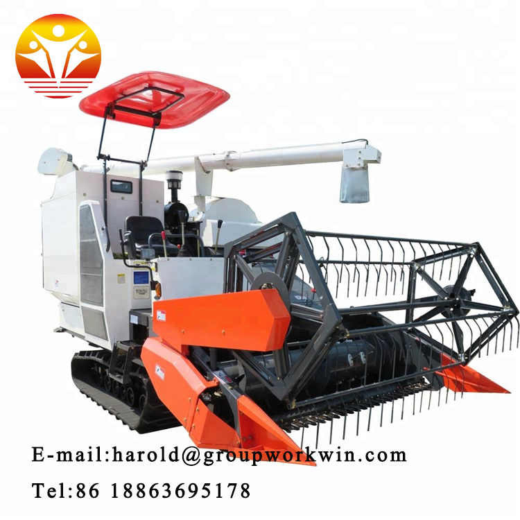 1545620910601137.jpg 5.jpg