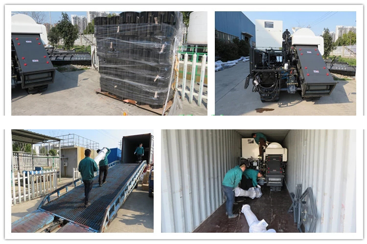 1545621085572255.jpg 8.jpg