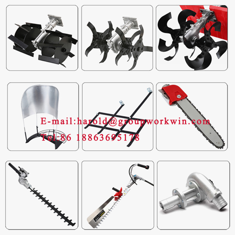 1545704196331573.jpg 5.jpg