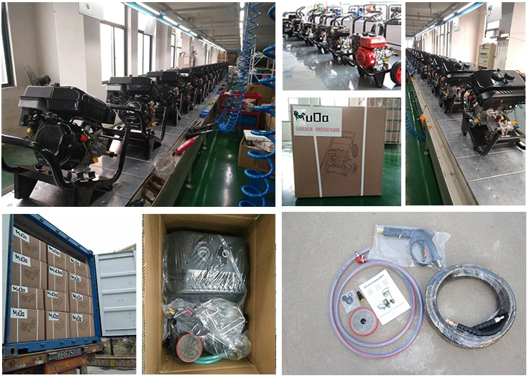 1545705070391513.jpg 6.jpg