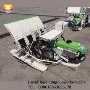 Agricultural rice transplanter