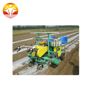 Automatic Tomato Transplanter Machine Sale