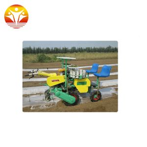 Automatic Tomato Transplanter Machine Sale