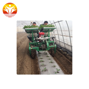 Automatic Tomato Transplanter Machine Sale