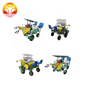 Automatic Tomato Transplanter Machine Sale