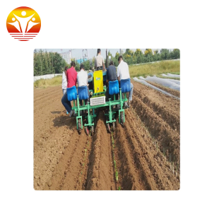 2 Lines Transplanter For Vegetable Planting Machine