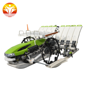 4 Rows Hand Held Transplanter,Manual Seeding Transplanter Rice Sale Tanzania