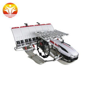 4 Rows Hand Held Transplanter,Manual Seeding Transplanter Rice Sale Tanzania