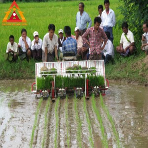 6 rows walking behind hand push rice transplanter for sale in Pakistan