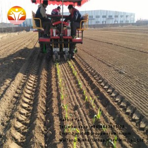 Mechanical vegetable transplanter for sale