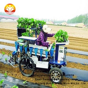 Mechanical vegetable transplanter for sale