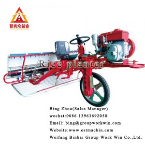 Agriculture Planter 6 Rows Walking Paddy Rice Transplanter