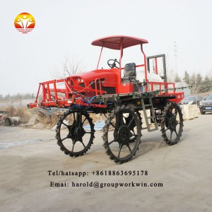 Diesel spray insecticide machine apply for Rice and vegetables