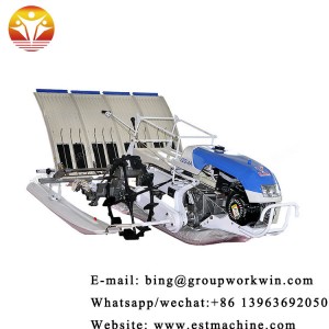 High efficiency 2z-430 4-row rice transplanter price walking behind in India