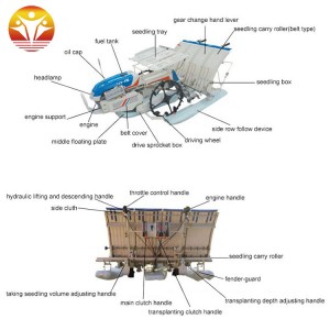 High efficiency 2z-430 4-row rice transplanter price walking behind in India