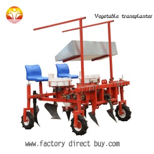 Chinese vegetable seedling transplanting machine